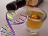 In Search of Alcoholism Genes