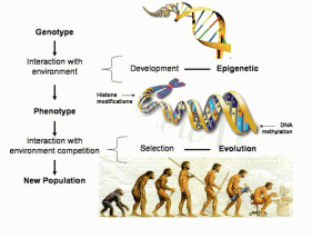 It's Genetic" Part 1