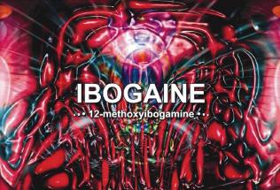 Psychedelic Salvation: Could Ibogaine be the cure for drug addiction?