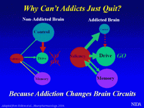 NatCon15: What dopamine tells us about opioid addiction